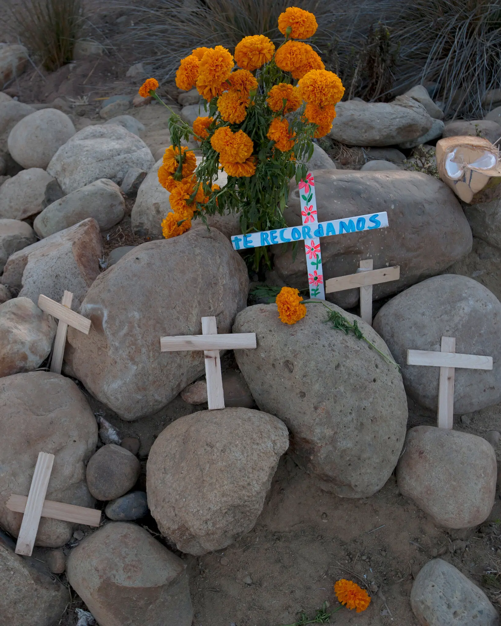 Mexico’s Day of the Dead Needs a New Life