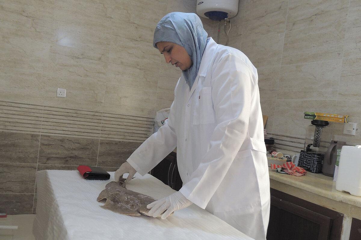 To protect angel sharks, a Libyan biologist collaborates with fishing communities