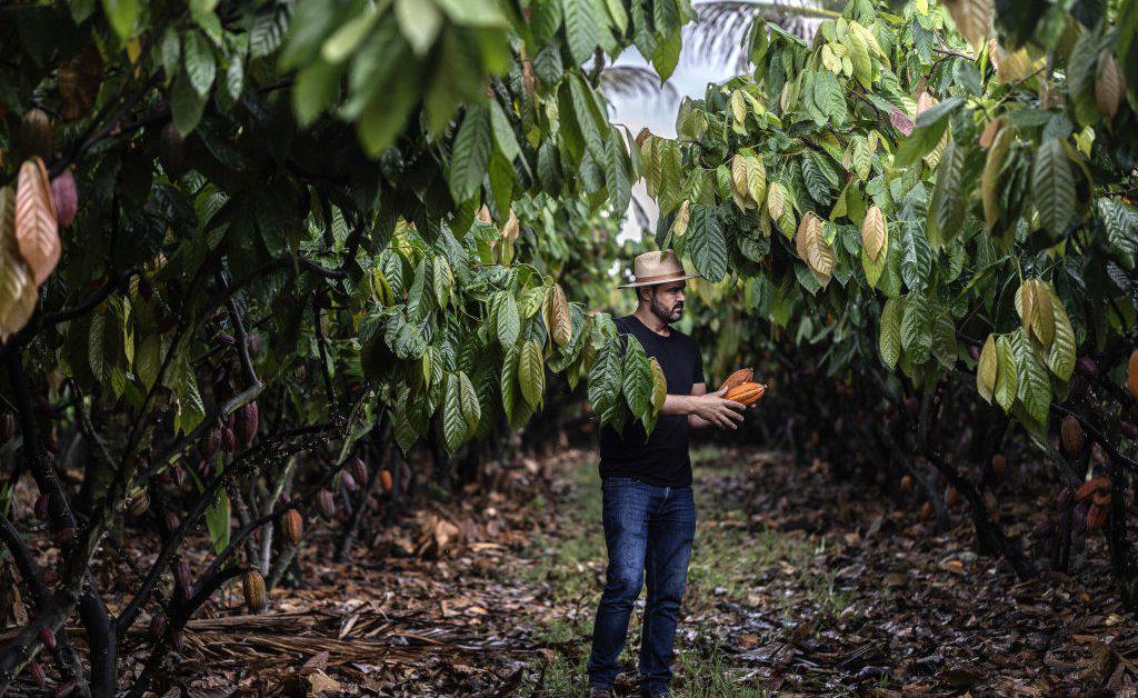 Farmers and agrifood systems are central to solving the climate crisis.