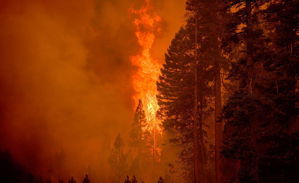 This was supposed to be the year that global greenhouse gas emissions reach their peak levels in order to limit warming to 1.5°C.