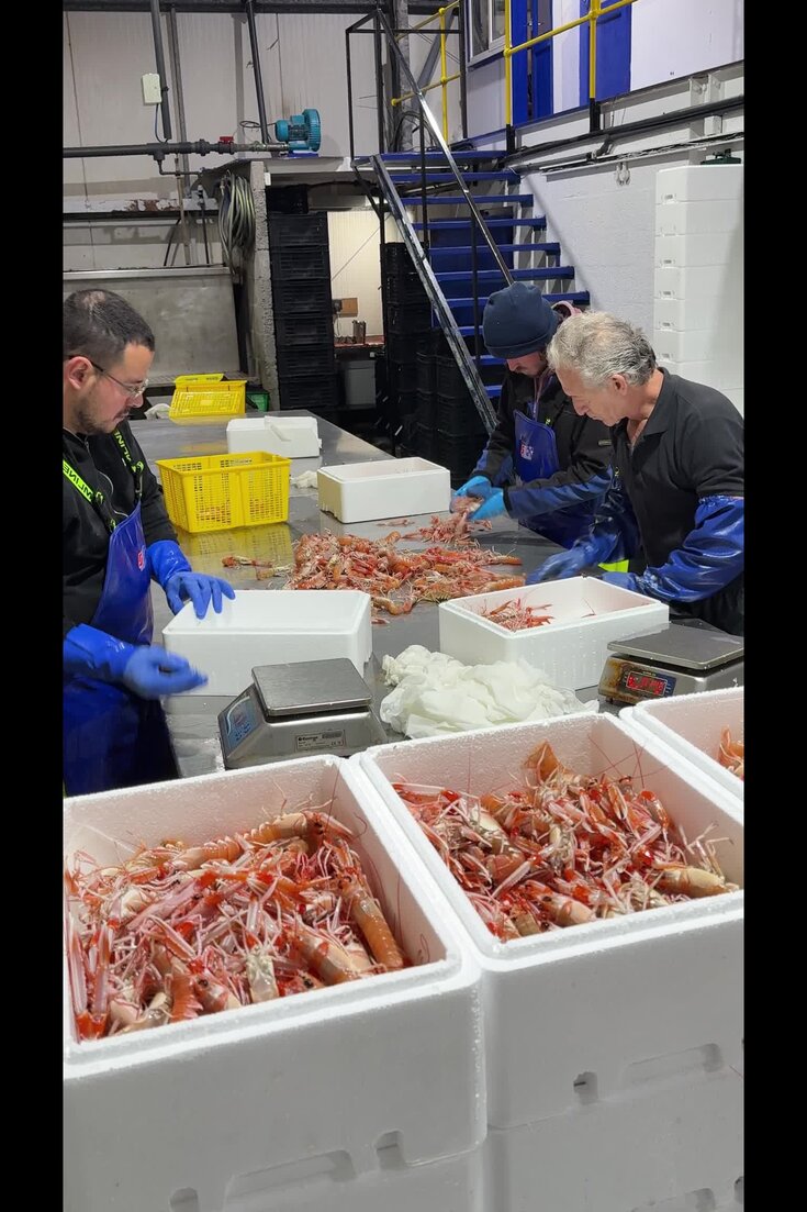 Workers sorting shellfish at Scot West Seafoods, in Kyle of Lochalsh, Scotland, in June.