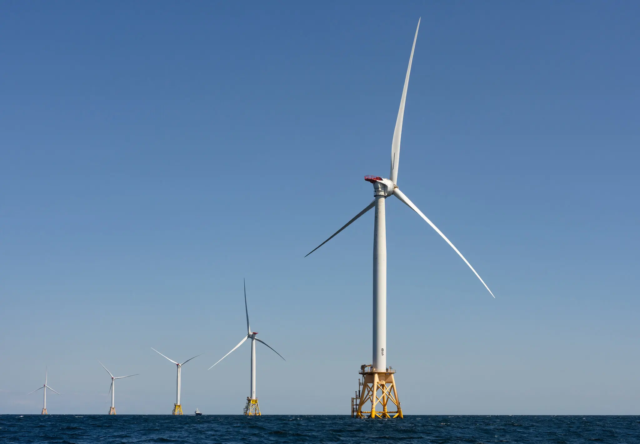 The White House had ordered federal agencies to draft plans to thwart offshore wind power, a source of renewable energy that the president has criticized.