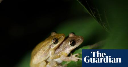 Picture of the author