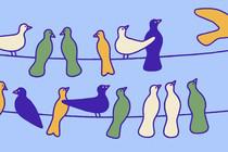 Picture of the author