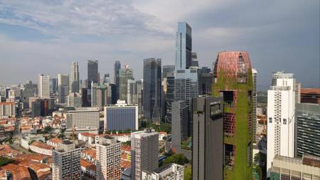 Picture of the author