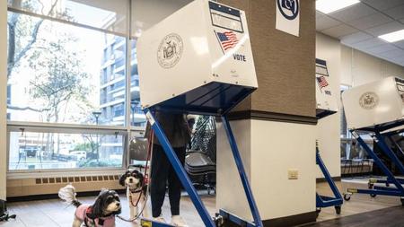 Picture of the author