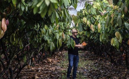 Picture of the author