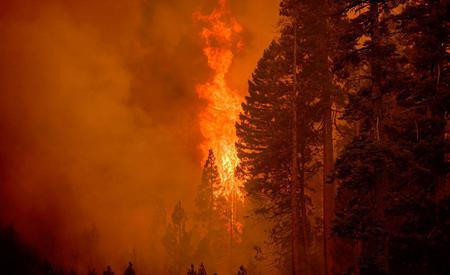 Picture of the author