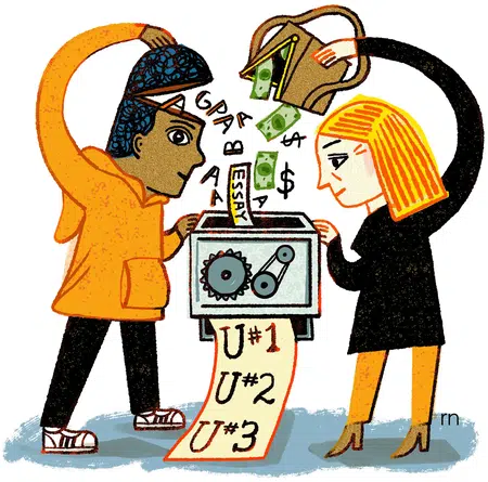 Picture of the author