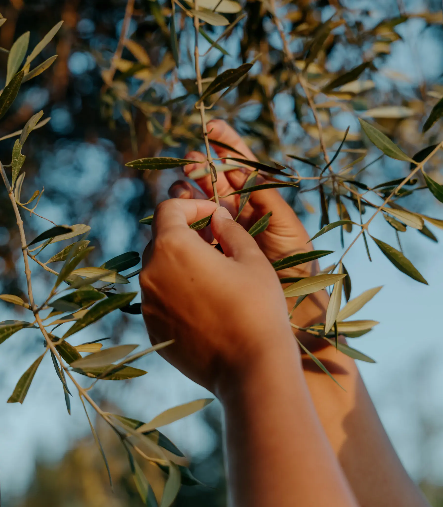 How to Be a Good Citizen When Your Country Does Bad Things