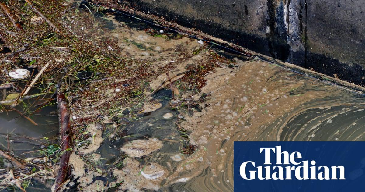 In June the government banned bonuses for water companies that failed to protect the environment from the worst pollution incidents.