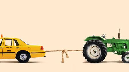 Picture of the author