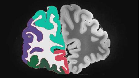 Picture of the author