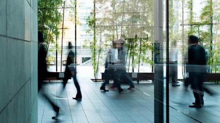 Picture of the author