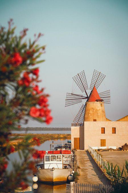 Picture of the author