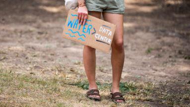 Picture of the author