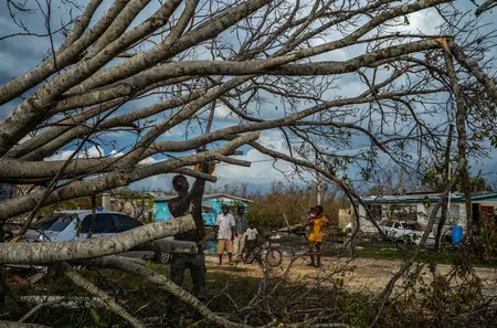 Picture of the author