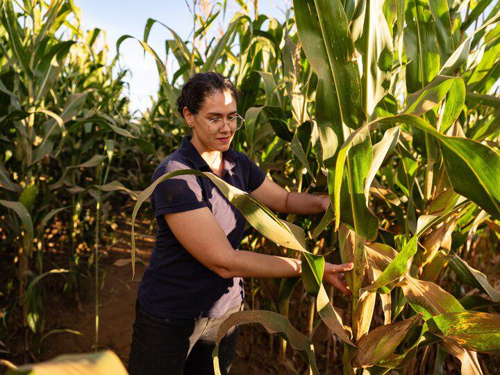 Maria Vitória Vasconcelos is transforming her family’s farm through regenerative practices like agroforestry, composting, and crop diversification.