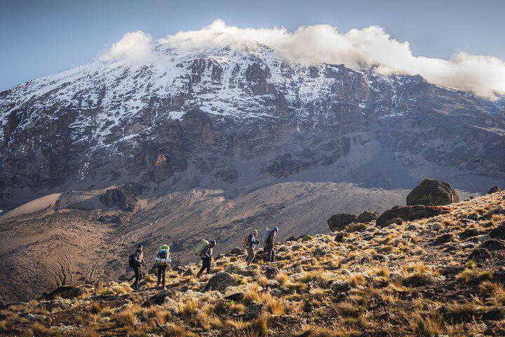 Trekking up the lower slopes of Kilimanjaro is an adventure that takes hikers to the highest peak of the continent.