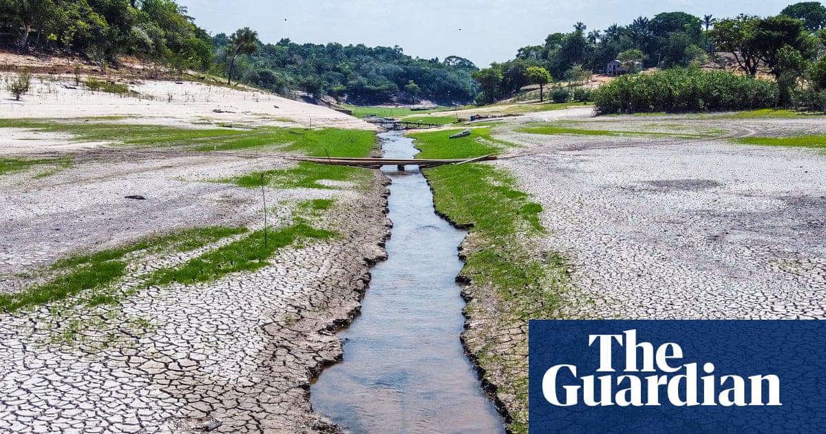 An area affected by severe drought in Amazonas state, Brazil, October 2023.