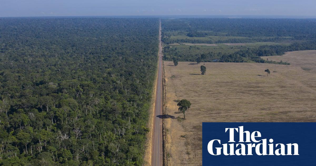 Highway BR-163 runs between the Tapajós national forest, left, and a soy field in Belterra, Para state, Brazil.