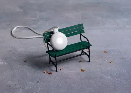 Picture of the author