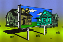 Picture of the author