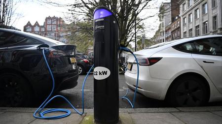 Picture of the author