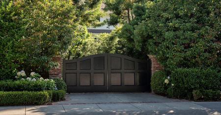 Picture of the author