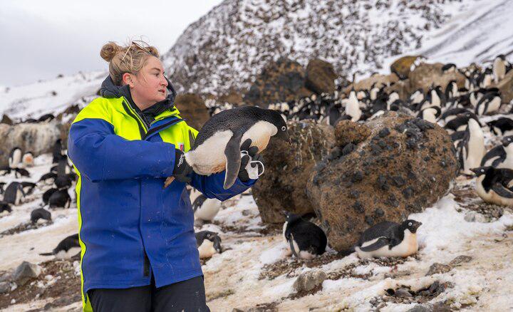 During an expedition to the Southern Ocean, microbial ecologist Jane Younger tests Antarctic marine life, including penguins, for bird flu to better understand how the pathogen is spreading around the continent and the globe.