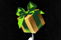 Picture of the author