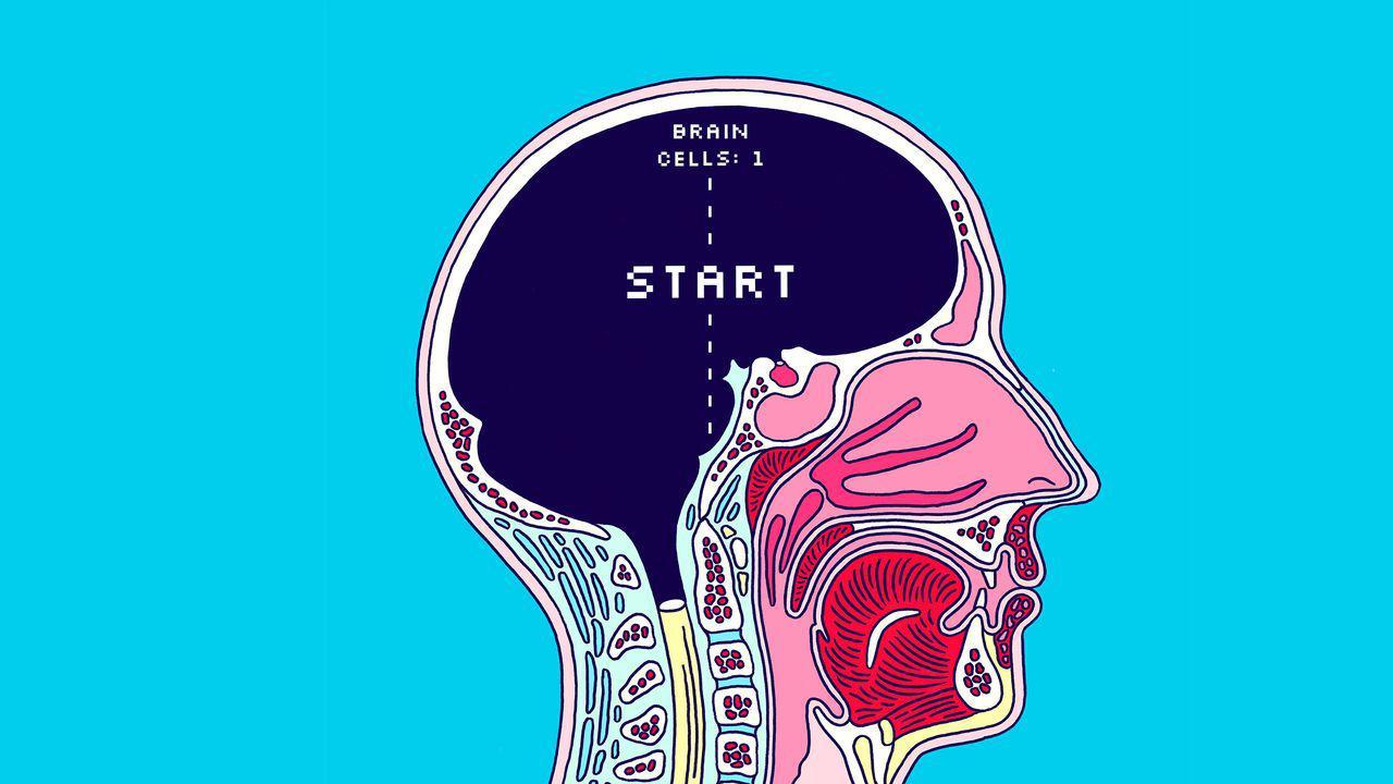 Are We Getting Stupider?