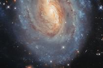 Picture of the author