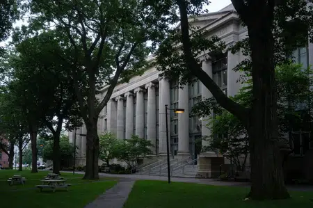 Picture of the author