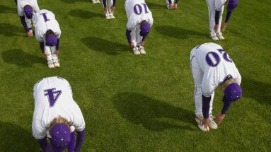 Picture of the author