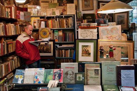 Picture of the author