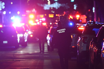 Picture of the author