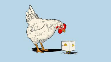 Picture of the author