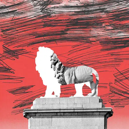 Picture of the author