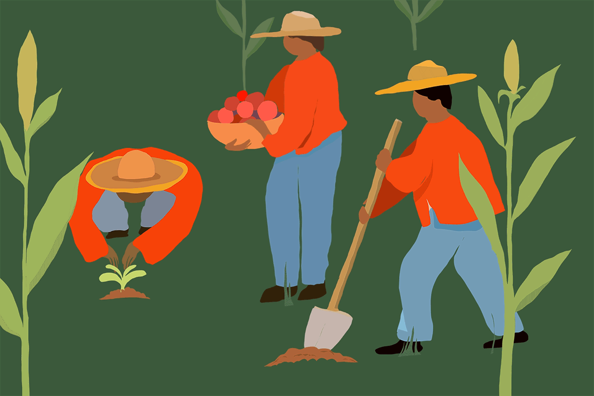 How to Get Border Patrol to Stop Making Warrantless Arrests