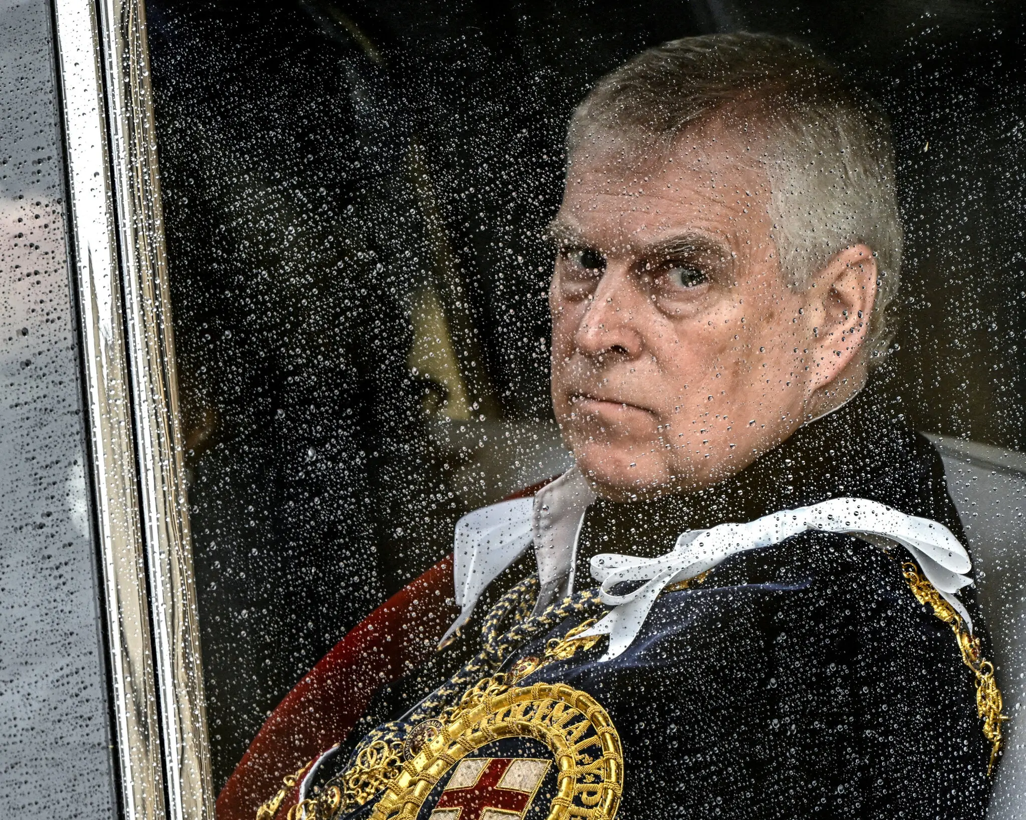 Picture of the author