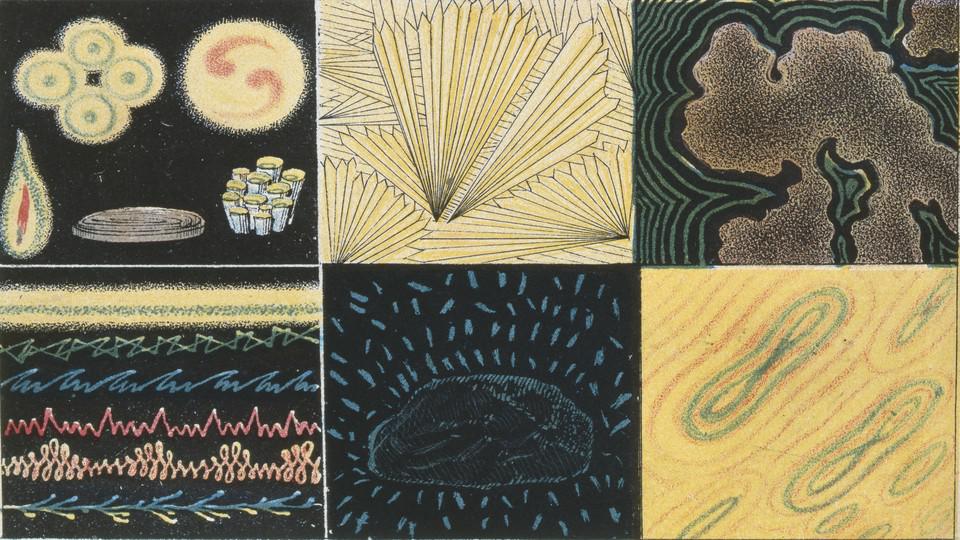 Picture of the author