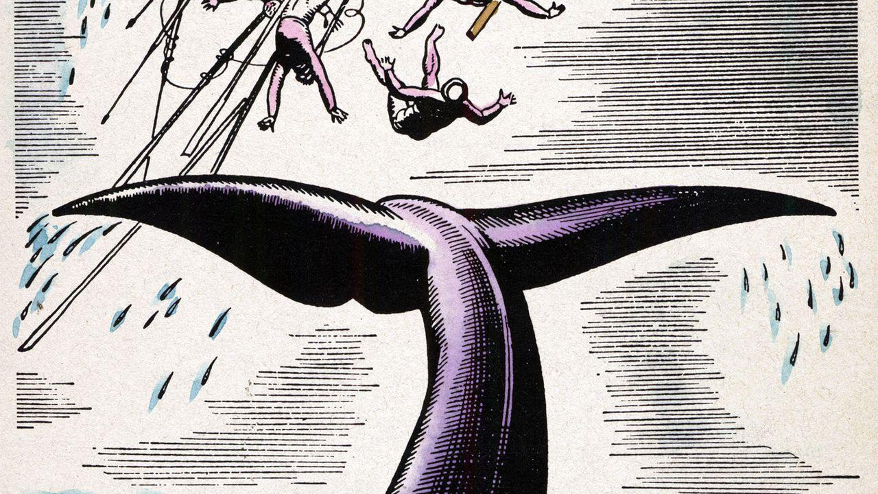 Picture of the author