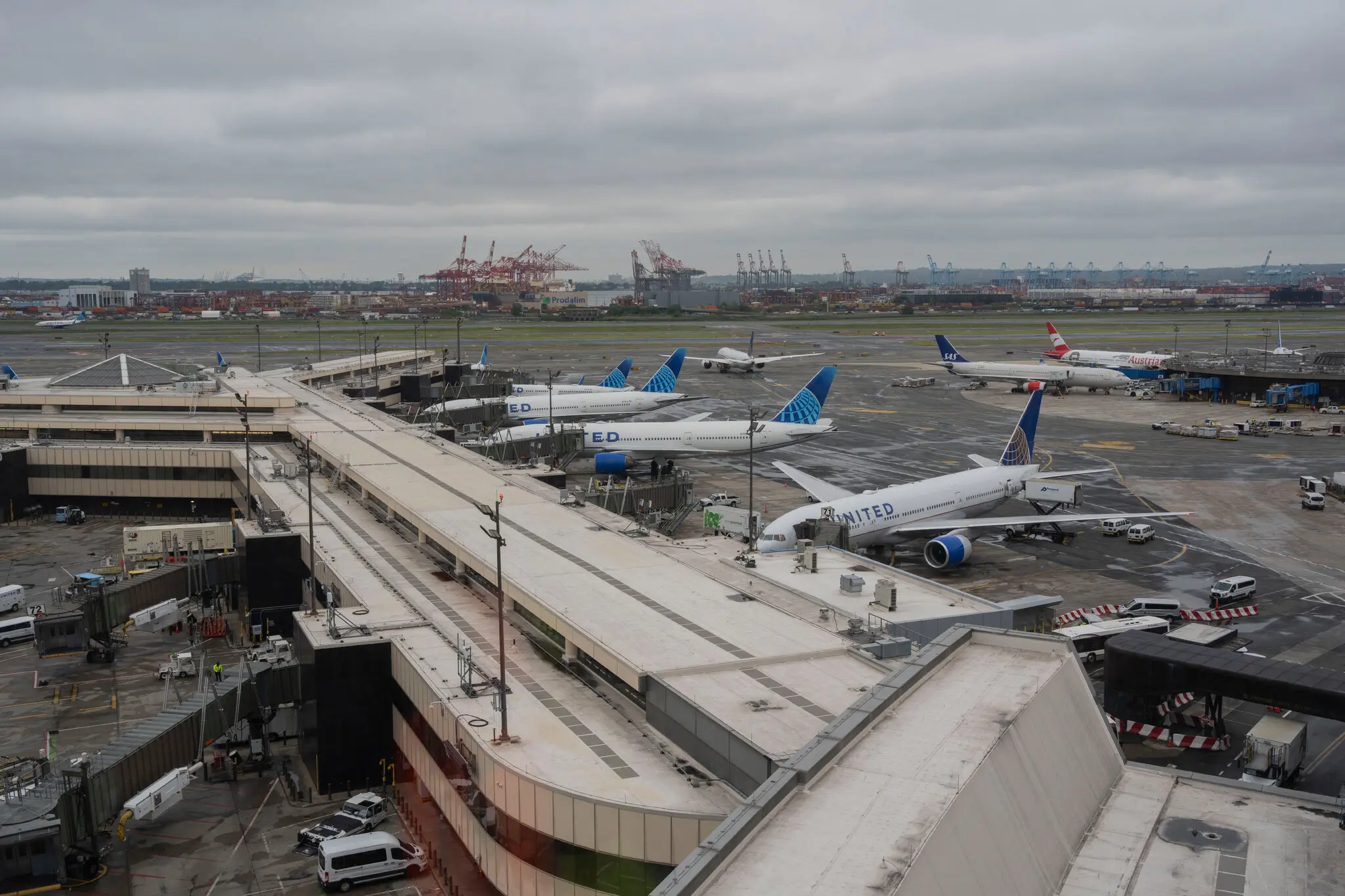 Picture of the author