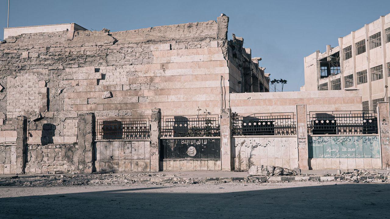 Picture of the author