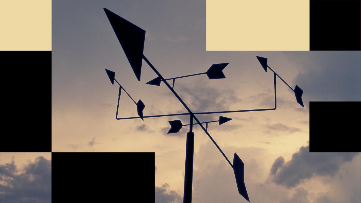 Picture of the author