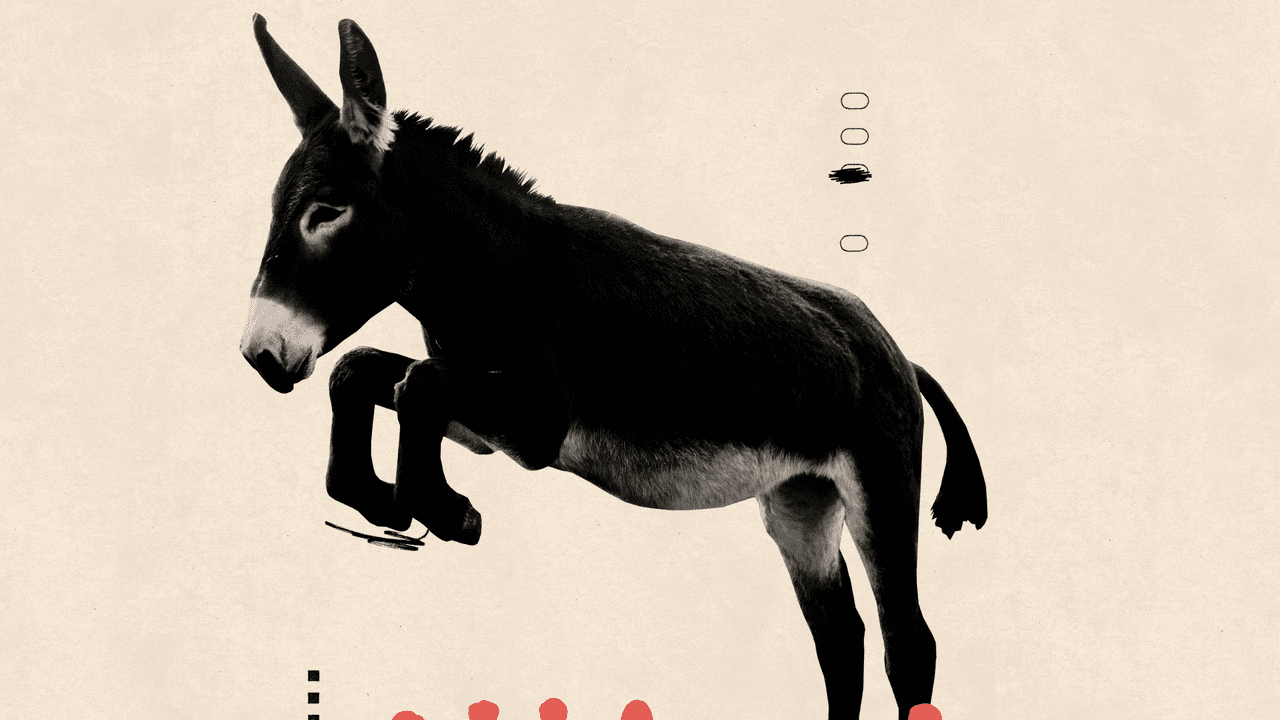 Picture of the author