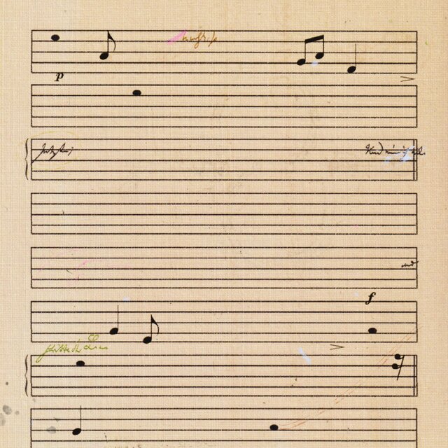 Picture of the author