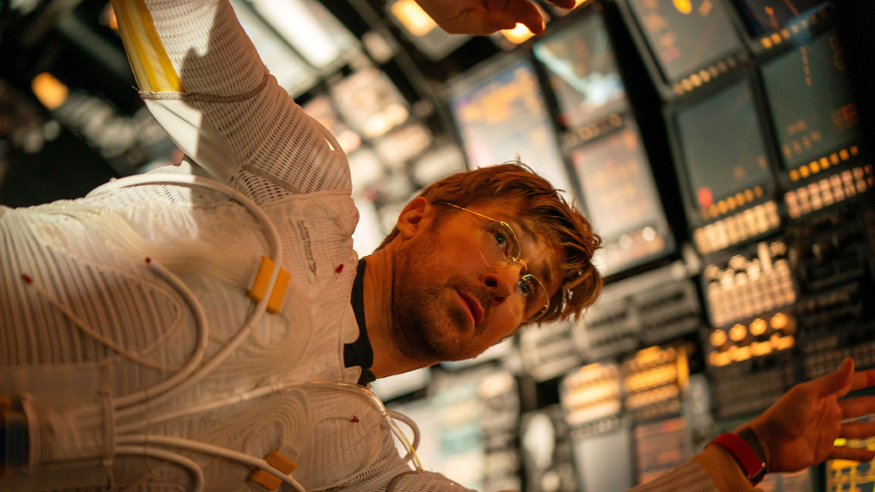 Picture of the author