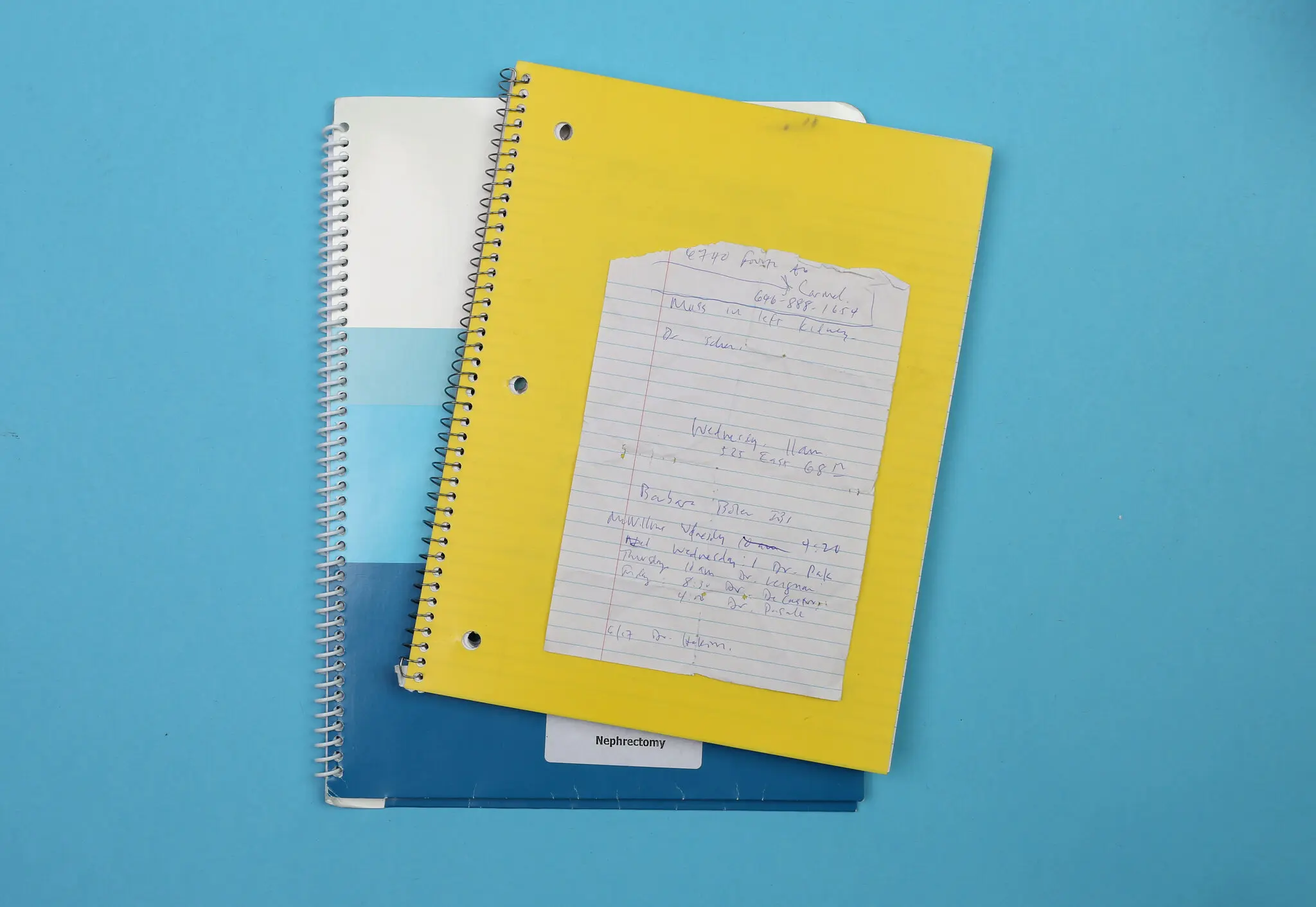 Ethan Hauser’s notebooks, which he used to record medication schedules. They eventually became diaries of sorts.